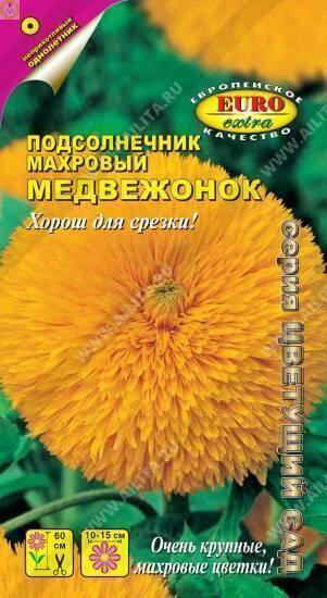 Подсолнечник декор. Медвежонок