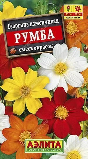 Георгина Румба смесь