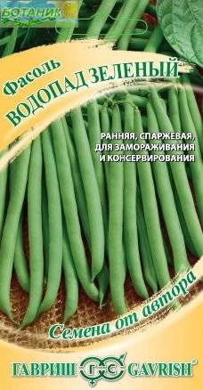 Фасоль Водопад зеленый автор.