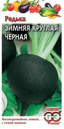 Редька Черная зимняя