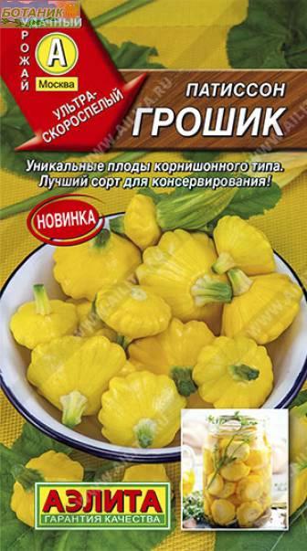 Патиссон Грошик
