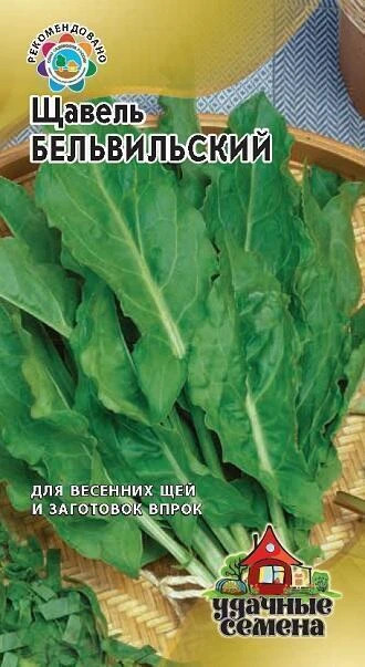 Щавель Бельвильский