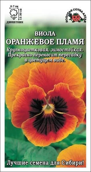 Виола Оранжевое пламя