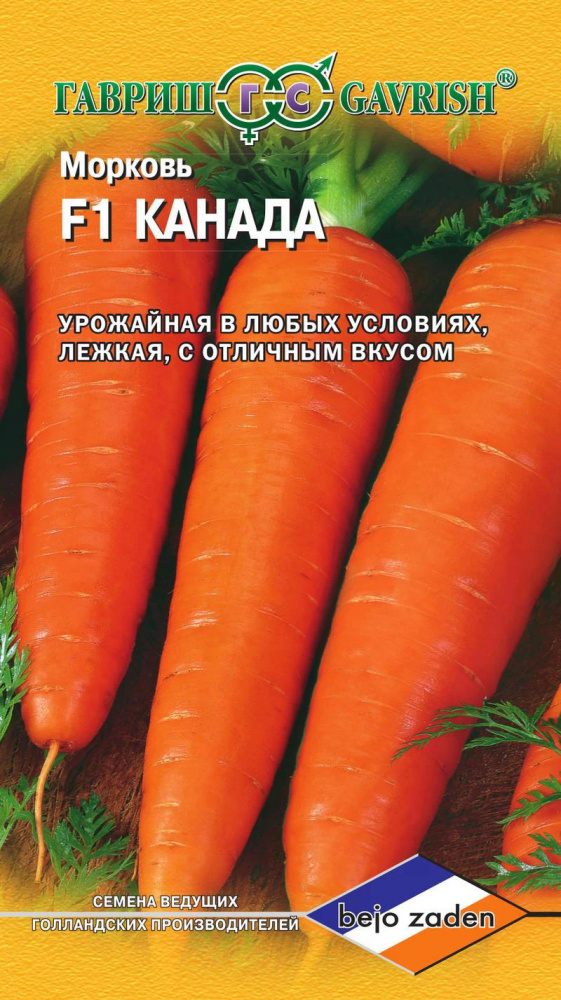Морковь Канада