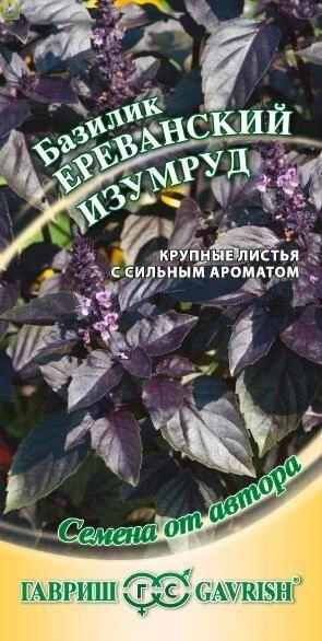 Базилик Ереванский изумруд