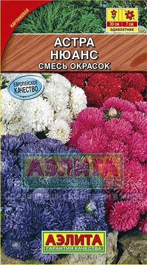Астра Нюанс смесь карликовая
