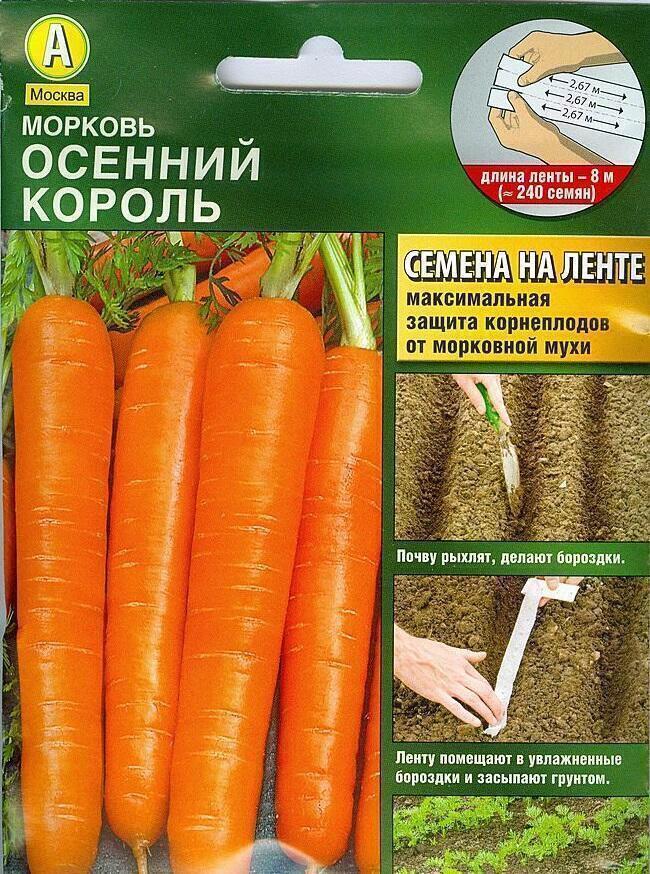 Морковь на ленте Осенний король 8 м