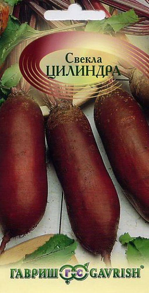 Свекла Цилиндра 1+1