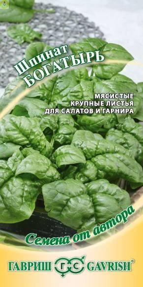 Шпинат Богатырь