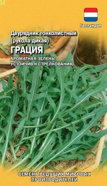 Рукола Грация (двурядник)