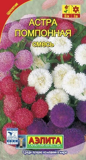 Астра Помпонная смесь