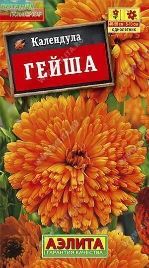 Календула Гейша