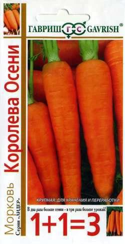 Морковь Королева осени 1+1