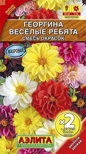 Георгина Веселые ребята