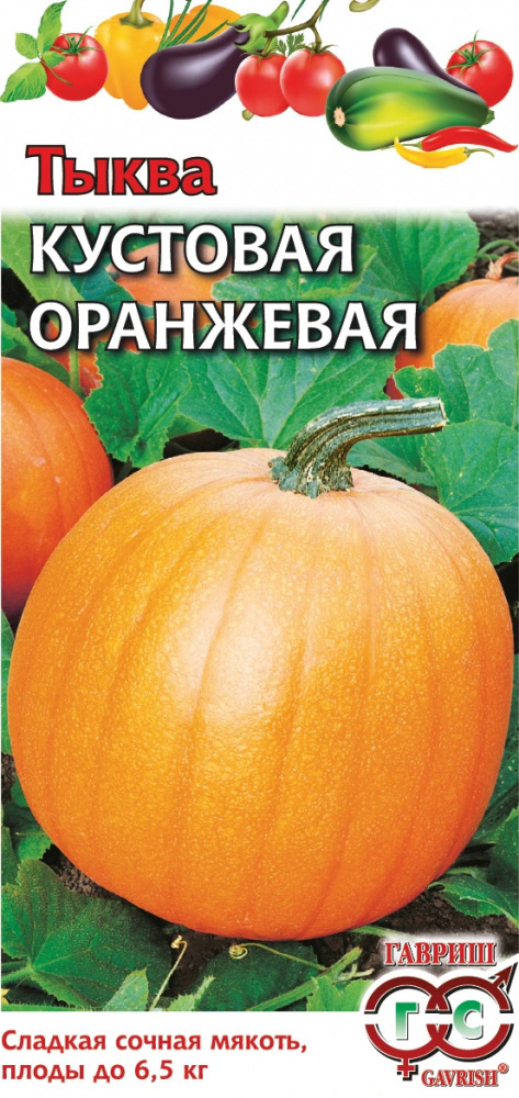 Тыква Кустовая оранжевая