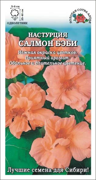 Настурция Бэби сэлмон