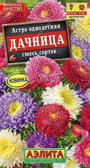 Астра Дачница смесь