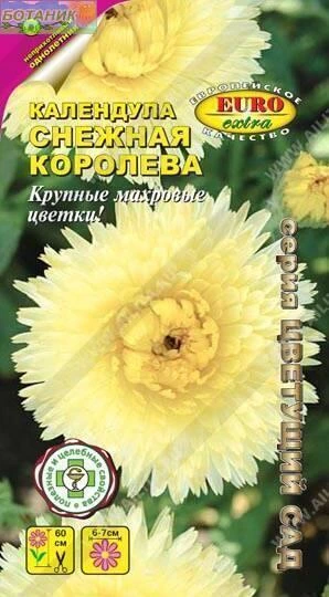 Календула Снежная королева