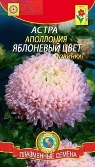 Астра Аполлония яблоневый цвет