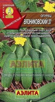 Огурец Вязниковский 37
