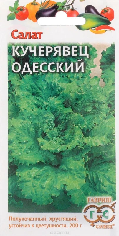 Салат Кучерявец Одесский